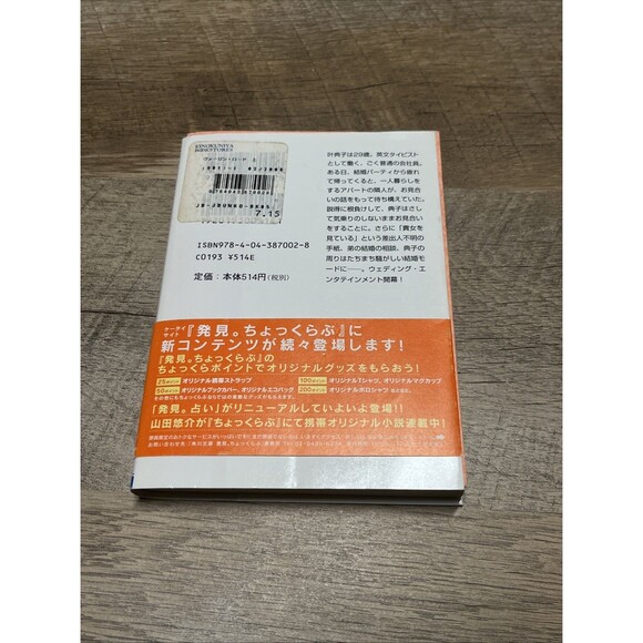 Virgin Road Volume 1 and 2 ヴァージン・ロード　下  By Jiro Akagawa ( Kadokawa Bunko) - Picture 4 of 8